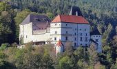 Percorso A piedi Feistritz am Wechsel - Feistritz am Wechsel - Hollabrunn über Steinbichel - Photo 5