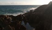 Trail Walking Le Moule - Porte d'Enfer - Anse Gros Morne - Photo 1