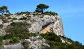 Trail Walking Le Castellet - Trace_Ste_Anne - Photo 10