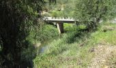 Percorso A piedi Querença, Tôr e Benafim - Fonte Benémola - Photo 4