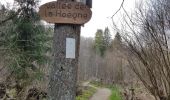 Trail Walking Waimes - UTDS - Fagne de Polleur/Sart - Photo 8