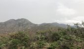 Randonnée Marche Banyuls-sur-Mer - Col Banuyls  - Photo 1