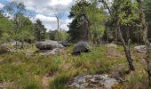 Randonnée Marche Arbonne-la-Forêt - sainte vierge monument 26 mai 19 - Photo 7