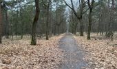 Trail Walking Kalmthout - Kalmthout parcours Park 24,4 km - Photo 11