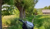 Trail Electric bike Ronse - Renaix - bois Louise Marie - par sentiers - Photo 5