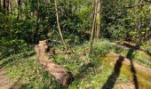 Percorso Marcia Igny - Vauboyen depuis Igny et la forêt de Verrieres - Photo 6