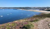 Tour Wandern Camaret-sur-Mer - Camaret - Photo 2