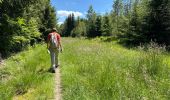 Randonnée Marche Theux - Polleur Fagnes de Malchamps 31,7 km - Photo 12