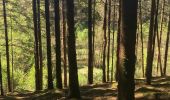 Tour Wandern Libin - Ochamps - Le chemin des croix et des maisons brulées (LI16) - Photo 1