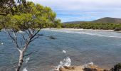 Tour Wandern Bormes-les-Mimosas - TOULON / BORMES LES MIMOSAS: LA LONDE - Photo 6