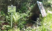 Percorso Marcia Orbey - Col du Wettstein, le circuit des sources par les Basses Huttes - Photo 3