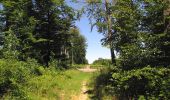 Randonnée Marche Oigny-en-Valois - en forêt de Retz_81_vers les étangs de Bourcq et sur le GR11 - Photo 3