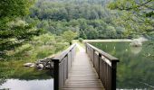 Trail Walking Kruth - Autour du lac de Kruth-Wildenstein - Photo 19