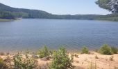 Tour Wandern Celles-sur-Plaine - Du lac de la Plaine au lac de Vieux-Pré à Pierre-Percée - Photo 10