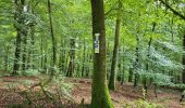 Trail Walking Bouillon - Bellevaux 190923 - Photo 2