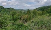 Tour Wandern Hohenfels - Houffalize 270622 - Photo 7