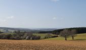 Tour Wandern La Roche-en-Ardenne - rando ornitho warempage 24/02/2021 - Photo 6