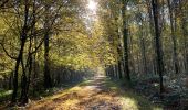 Trail Walking Gerpinnes - Couleur d’automne  - Photo 8