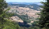 Tour Zu Fuß Deux-Grosnes - Mont Saint-Rigaud (14 km - D. 447 m) - Photo 3