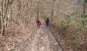 Trail Walking Saint-Pierre-de-Cormeilles - St Pierre de Cormeille - Photo 16