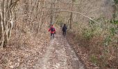 Tocht Stappen Saint-Pierre-de-Cormeilles - St Pierre de Cormeille - Photo 16