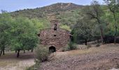 Tour Wandern Corbère - Corbere&St-Michel-de-Llotes_T - Photo 9