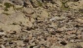 Tour Wandern Saint-Gervais-les-Bains - refuge de tete rousse depuis nid d'aigle - Photo 5