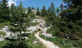 Trail Walking Brizon - BARGY: SOLAISON - ROCHERS DE LESCHAUX - CENISE - GLACIERE - Photo 5