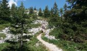 Randonnée Marche Brizon - BARGY: SOLAISON - ROCHERS DE LESCHAUX - CENISE - GLACIERE - Photo 5