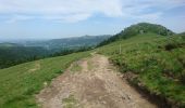 Excursión Senderismo Mont-Dore - départ Capucin vers puy de Sancy en passant par le pas de l'âne retour chemin des artistes 2019-25-06  - Photo 1