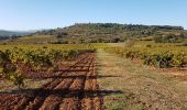 Randonnée Marche Seillons-Source-d'Argens - SEILLONS SUR ARGENS - SOURCE DE L'ARGENS - Photo 14