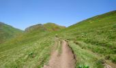 Randonnée Marche Laveissière - Cantal - le Lioran - Bec de l Aigle - 10.8km 540m 4h55 - 2019 06 26 - Photo 2