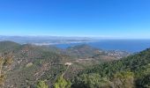 Trail On foot Saint-Raphaël - Esterel - Grues depuis Lentisque - Photo 2