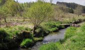 Tocht Stappen Gouvy - Au fil de l'eau - Gouvy   - Photo 7