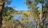 Percorso Marcia Roquebrune-sur-Argens - lac de l arena - roquebrune - Photo 6