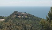 Tocht Stappen Le Pradet - Les 3 forts-la Garonne-21-04-23 - Photo 12