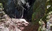Trail Walking Saint-Martin-en-Vercors - grotte de la cheminée  - Photo 10