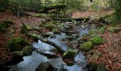 Percorso A piedi Sconosciuto - Doppelbalken Mercatorweg - Photo 2