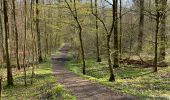 Trail Walking Beauvechain - Meerdael et molendaal à partir de Hamme Mil - Photo 9