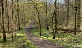 Tocht Stappen Bevekom - Meerdael et molendaal à partir de Hamme Mil - Photo 9