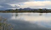 Excursión Senderismo Fréjus - etangs de villepey et collines - Photo 1