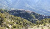Trail Walking Bairols - BAIROLS - Photo 6