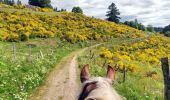 Trail Horseback riding Gerbamont - 2022-06-04 Rando CVA Gerbamont Boucle Foret de Noire Goutte - Photo 8