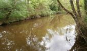 Tour Zu Fuß Bad Friedrichshall - N5a Salzwanderweg - Wandern auf den Spuren des weißen Goldes - Photo 2