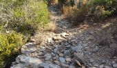 Trail Walking La Garde-Freinet - Boucle Garde-Freinet - Serre-Long - Photo 5