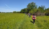 Tocht Stappen Étampes - base de loisirs d'Etampes - Photo 1