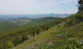 Trail Walking Orcival - boucle du Puy de l Ouire - Photo 2