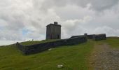 Tocht Te voet Kenmare Municipal District - Bray Head Loop - Photo 6