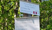 Randonnée Marche Vresse-sur-Semois - Marche ADEPS 10KM900 à Laforêt. - Photo 4