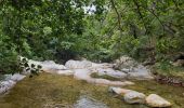 Trail Walking Soudorgues - Vallée Salindrenque - Photo 5